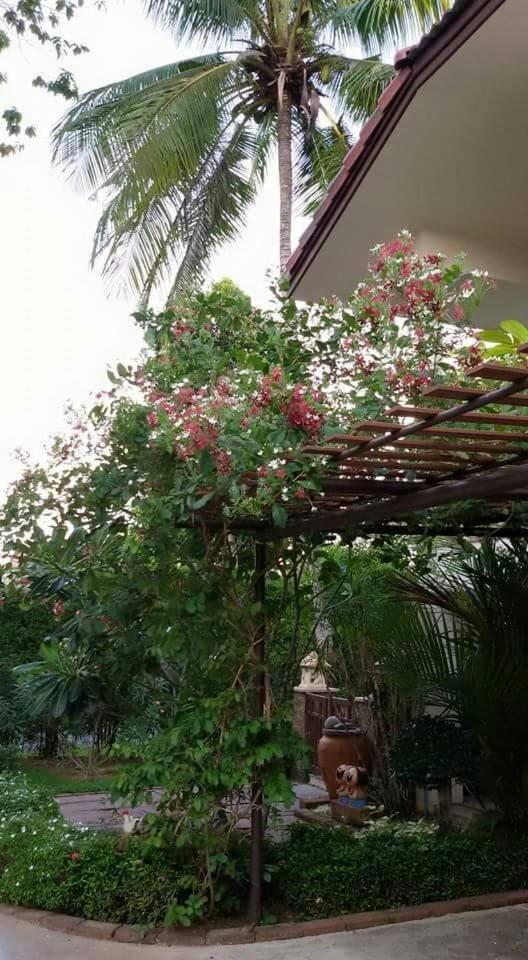 Periwinkle Villa Koh Chang Exterior photo